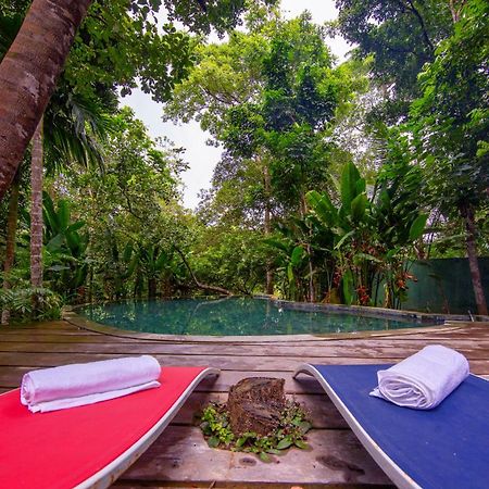 Wild Nest Villa Unawatuna Εξωτερικό φωτογραφία
